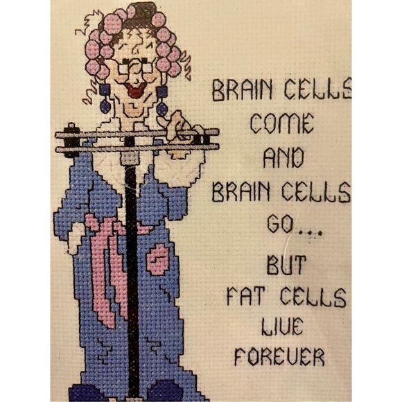 NEW Janlynn Aunt Tizzie Talks “Fat Cells” 5X7 Counted Cross Stitch Kit - Picture 5 of 8